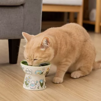 Green Rabbit Ceramic Cat Bowl: Floral, Non-Slip Angle