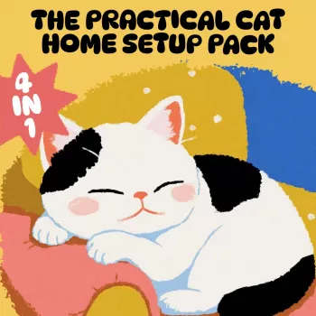 Helping Your Cat Settle In: Reduce Anxiety After a Move
