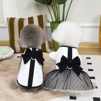 Summer Lace Dog Dress with Bow: Fit, Care & Heat Tips